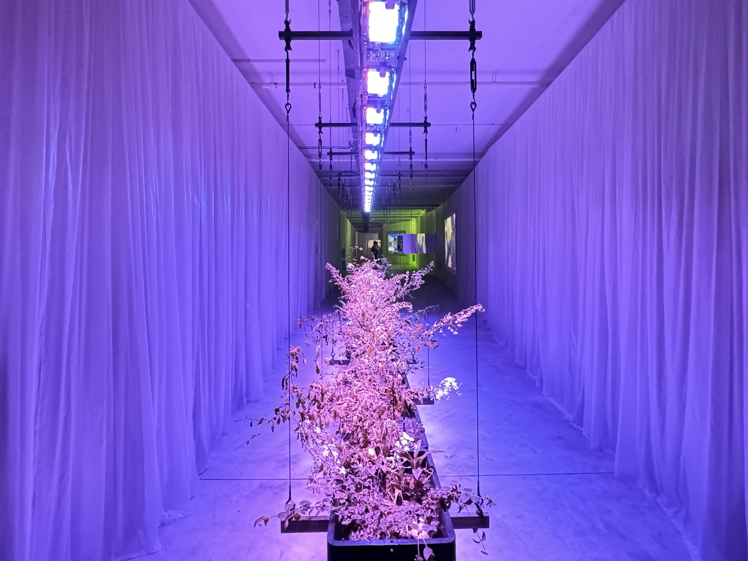 ¿Cuánto pesa una ciudad? La Trienal de Arquitectura de Lisboa desnuda las tensiones del presente urbano