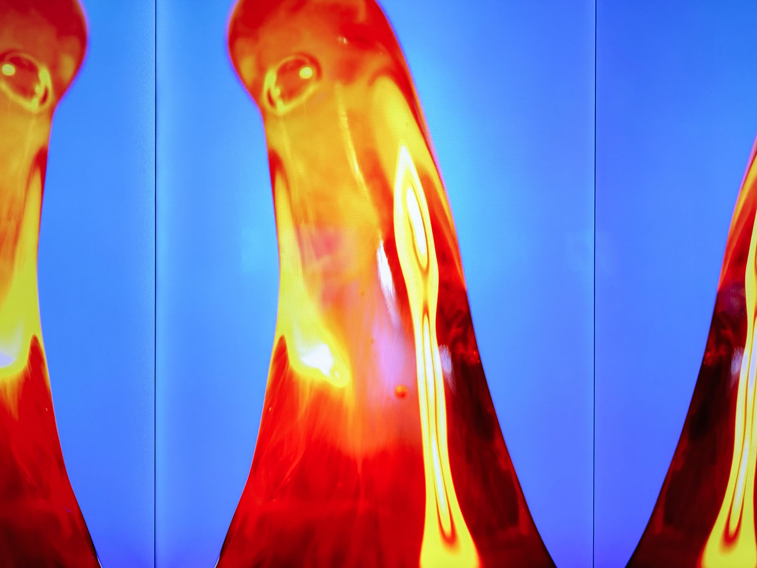 P61 Gallery Berlin, laboratorio para el arte digital del siglo XXI